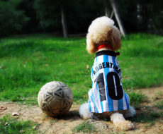 展望未来 学术龙引领AI学术写作行业高质量发展